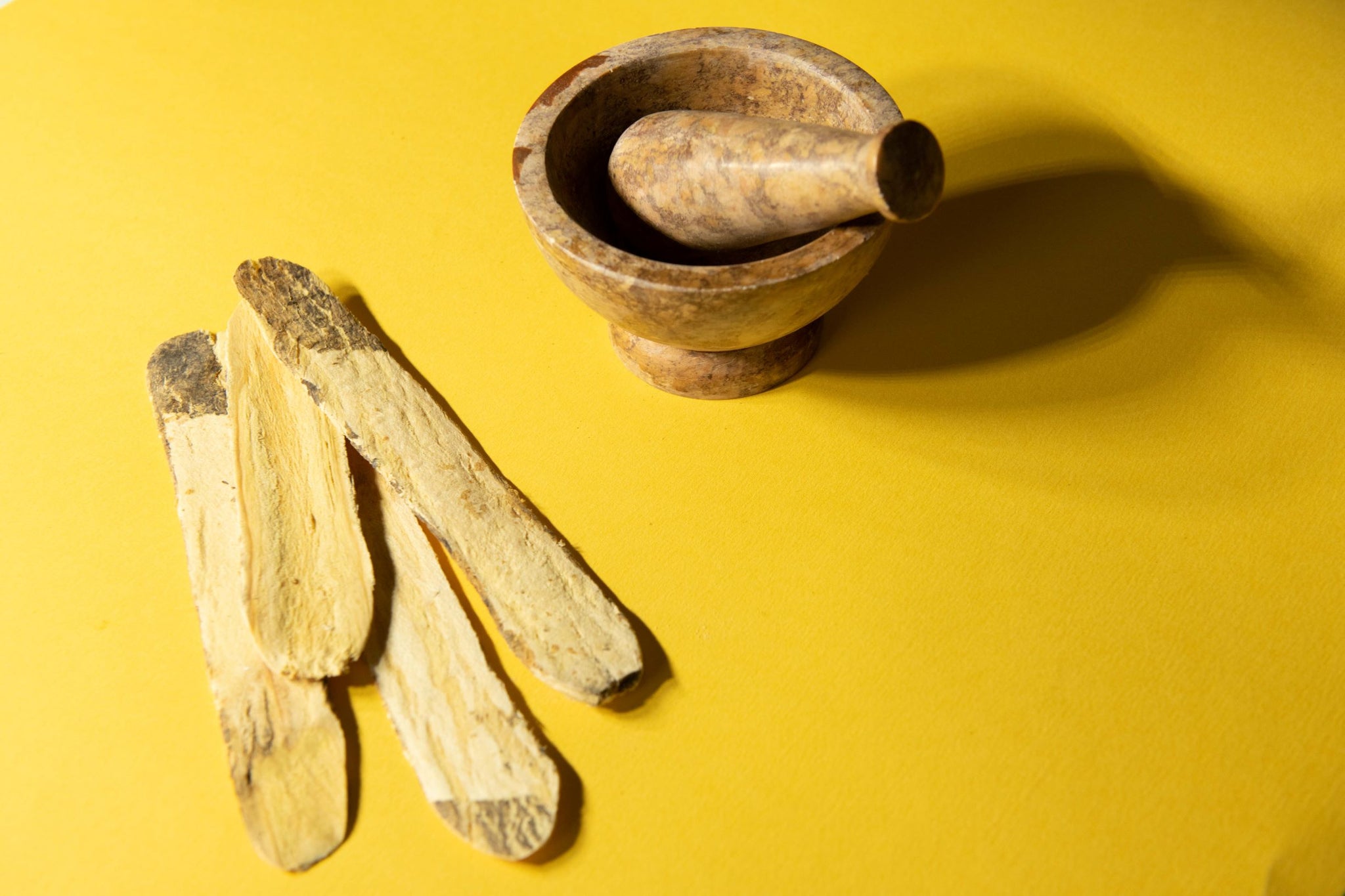 Astragalus Root